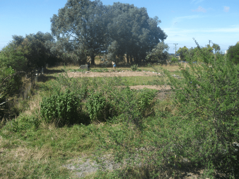 screen-shot-2017-01-29-at-11-38-39-am