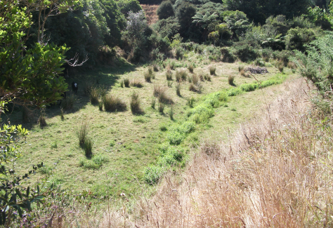 screen-shot-2017-02-01-at-6-33-43-am