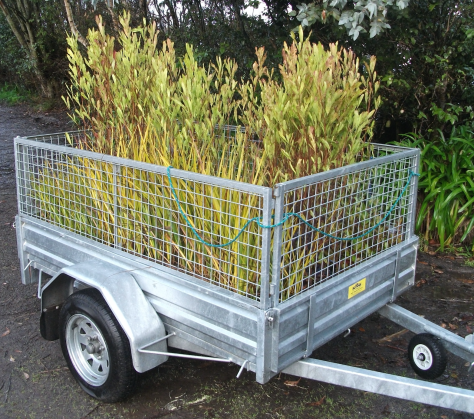 screen-shot-2017-02-01-at-6-34-21-am