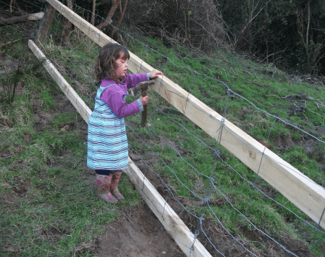 screen-shot-2017-02-01-at-6-34-30-am