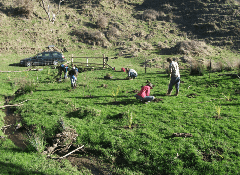 screen-shot-2017-02-01-at-6-35-00-am