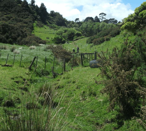 screen-shot-2017-02-01-at-6-35-32-am