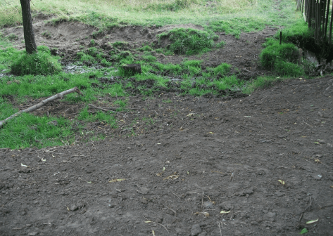 screen-shot-2017-02-01-at-6-35-49-am