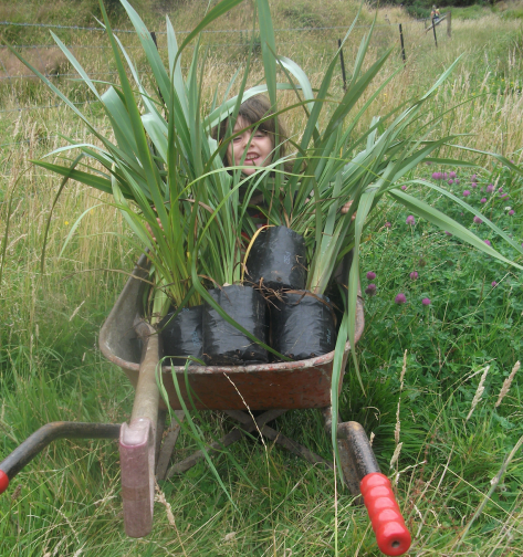 screen-shot-2017-02-01-at-6-36-12-am