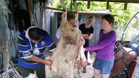 16244617_10158138229810230_1299421955_o