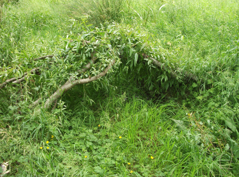 screen-shot-2016-12-14-at-6-21-31-am