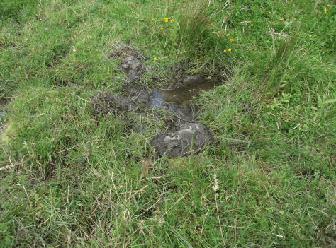 screen-shot-2017-01-09-at-6-37-08-am