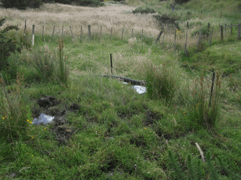 screen-shot-2017-01-09-at-6-40-34-am