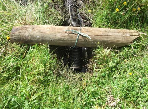 screen-shot-2017-01-09-at-6-49-49-am