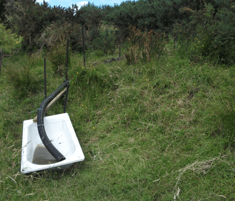 screen-shot-2017-01-09-at-6-50-10-am