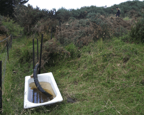 screen-shot-2017-01-12-at-2-11-57-pm