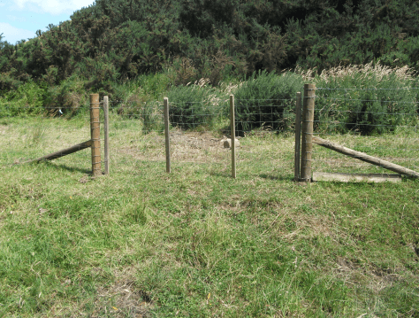 screen-shot-2017-01-12-at-2-17-37-pm