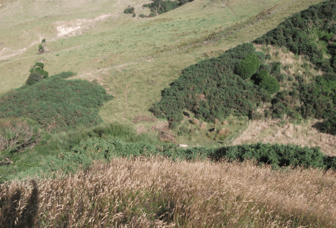 screen-shot-2017-01-17-at-8-00-02-am