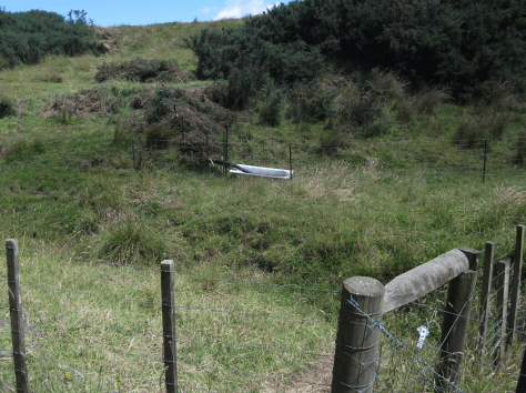 screen-shot-2017-01-19-at-1-40-16-pm