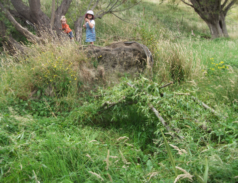 screen-shot-2017-02-26-at-6-20-28-am