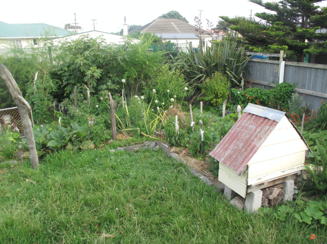 screen-shot-2017-02-28-at-8-16-19-am