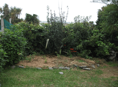 screen-shot-2017-02-28-at-8-27-32-am