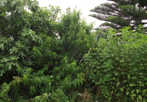 screen-shot-2017-02-28-at-8-27-49-am