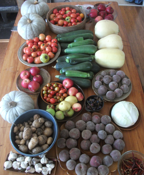 Screen Shot 2017-03-16 at 7.12.44 am