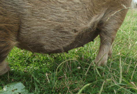 Screen Shot 2017-03-16 at 7.25.57 am