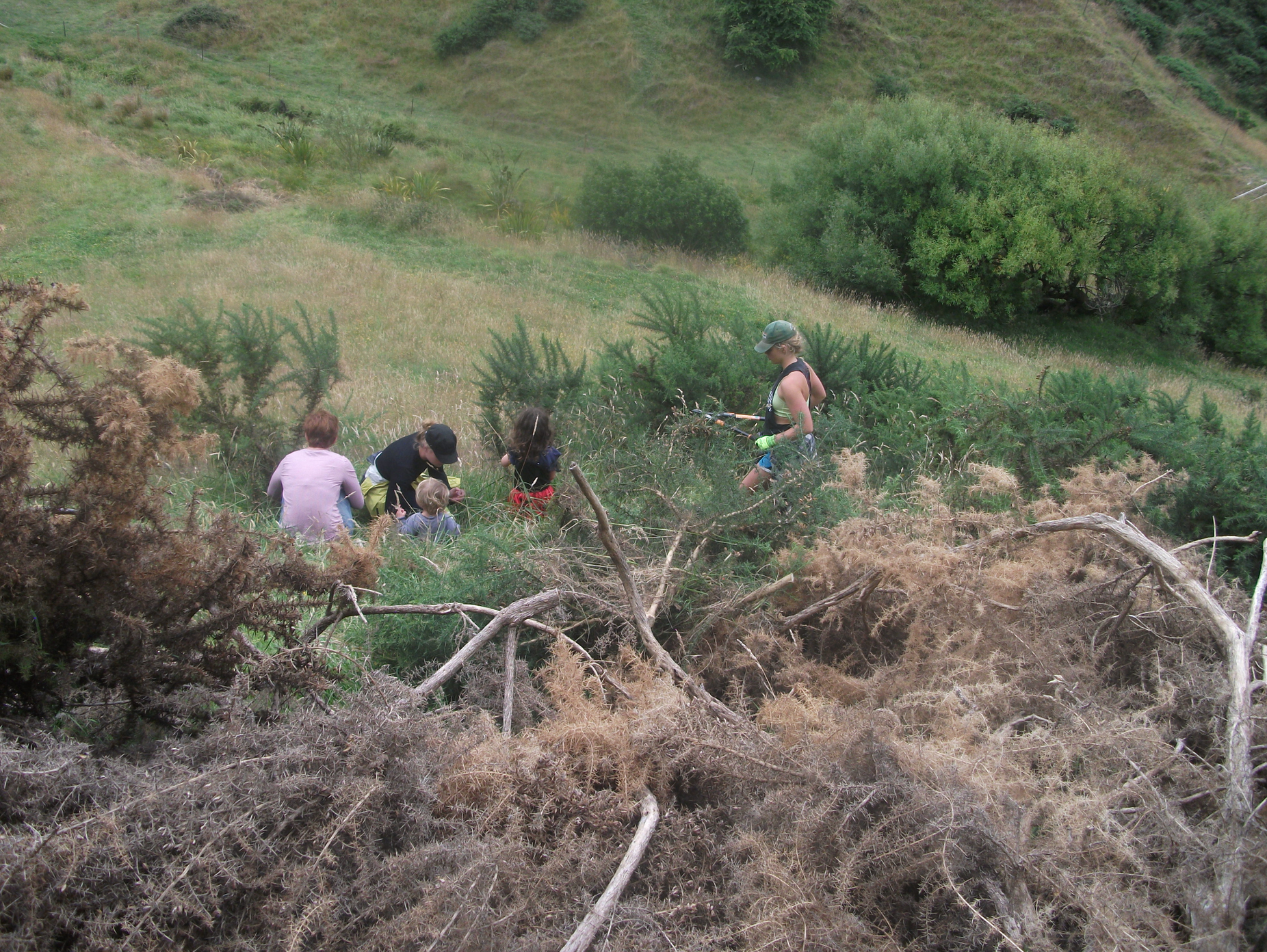 Screen Shot 2017-03-27 at 7.18.47 am