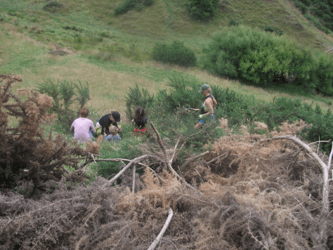 Screen Shot 2017-03-27 at 7.18.47 am