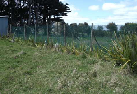 Screen Shot 2017-04-04 at 12.14.25 pm