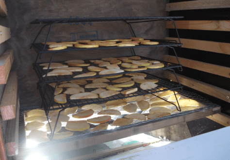 Screen Shot 2017-06-18 at 6.26.52 am