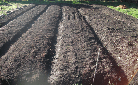 Screen Shot 2017-06-18 at 6.28.05 am