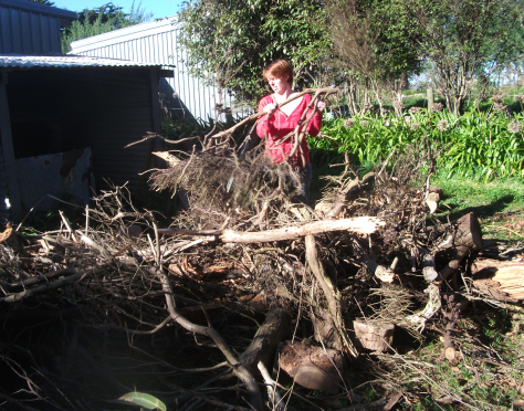 Screen Shot 2017-06-22 at 6.44.39 am