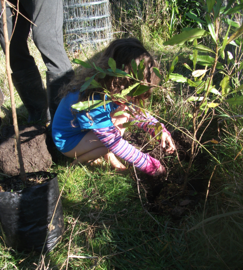 Screen Shot 2017-06-22 at 6.45.29 am