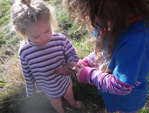 Screen Shot 2017-06-22 at 6.45.46 am