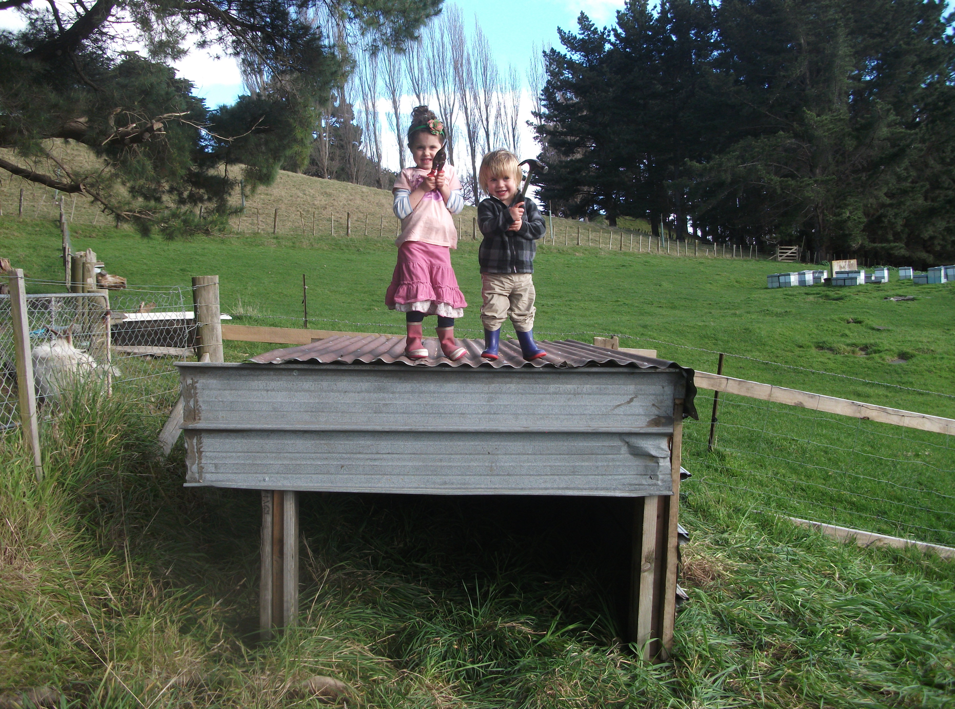 Screen Shot 2017-07-21 at 12.15.58 pm