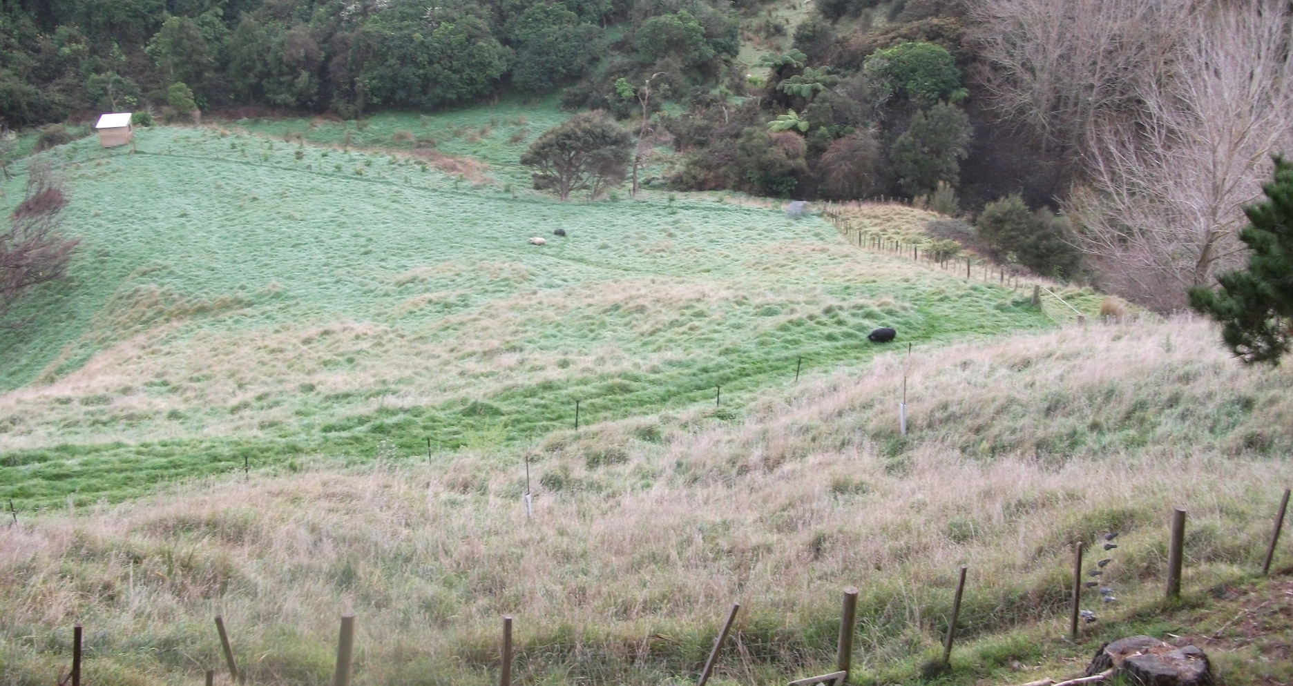 Screen Shot 2017-07-21 at 12.17.13 pm