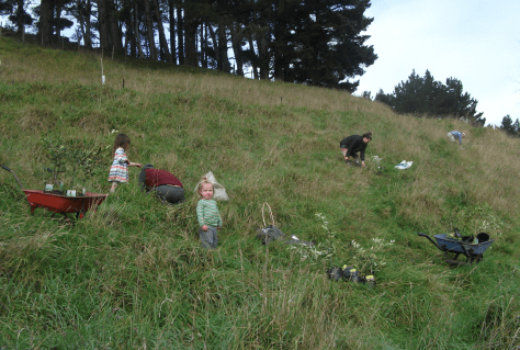 Screen Shot 2017-07-31 at 6.55.49 am