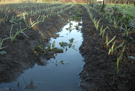 Screen Shot 2017-07-17 at 7.30.07 am