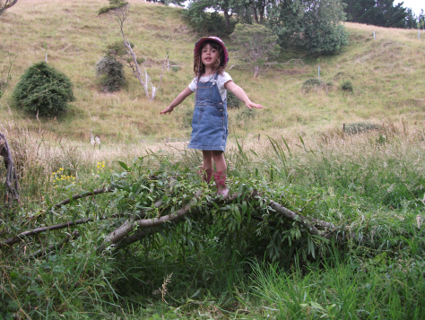 Screen Shot 2017-08-07 at 4.29.52 pm