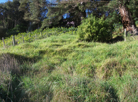 Screen Shot 2017-08-25 at 12.20.35 pm