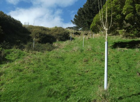 Screen Shot 2017-08-25 at 12.22.56 pm