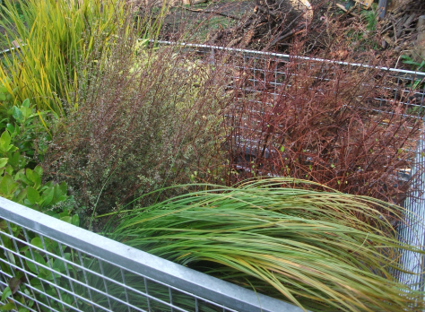 Screen Shot 2017-08-25 at 12.25.53 pm