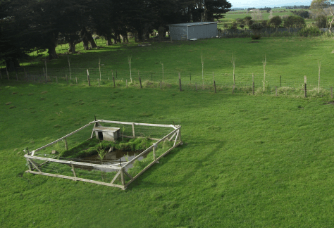 Screen Shot 2017-09-10 at 6.16.00 am