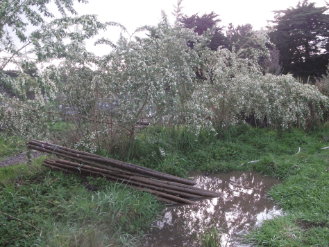 Screen Shot 2017-09-10 at 6.18.45 am