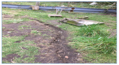 Screen Shot 2017-09-15 at 12.18.02 pm