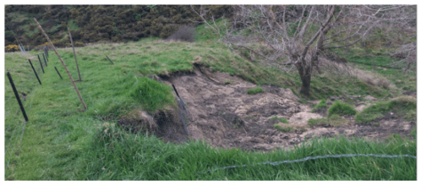 Screen Shot 2017-09-15 at 12.18.12 pm