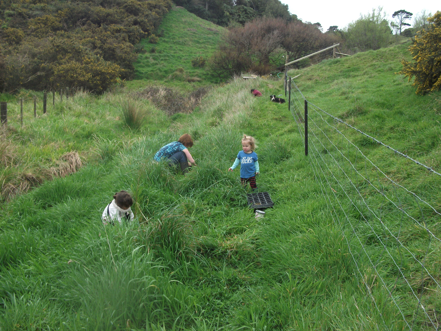 Screen Shot 2017-09-16 at 6.16.22 am