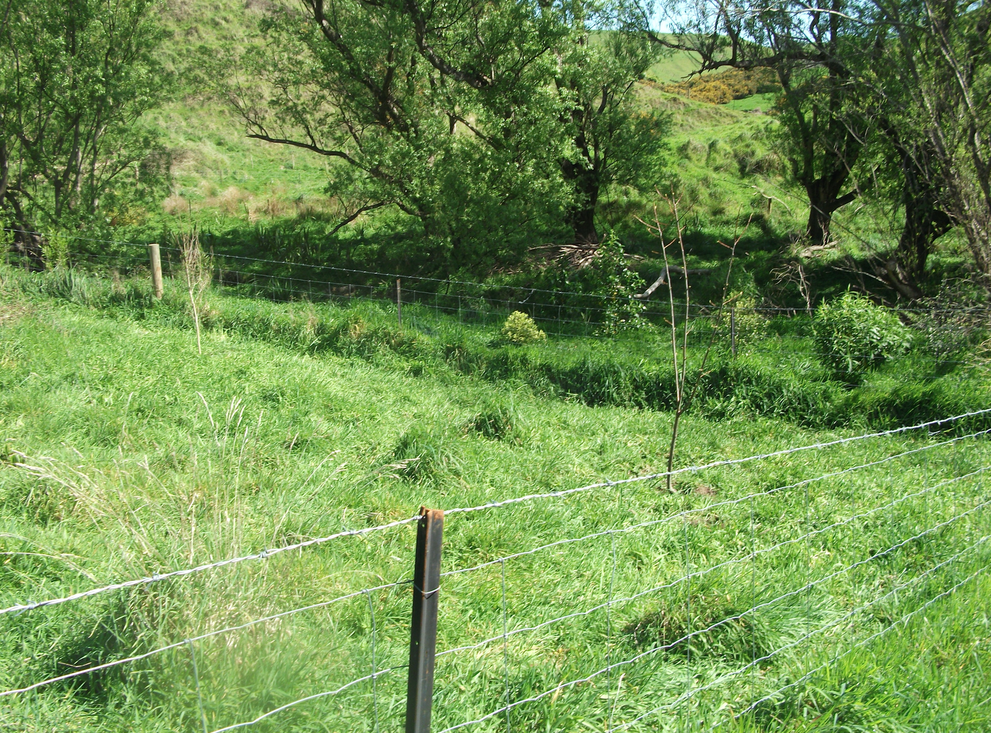 Screen Shot 2017-10-08 at 6.29.33 am