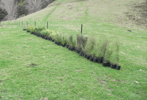 Screen Shot 2017-10-08 at 6.30.22 am