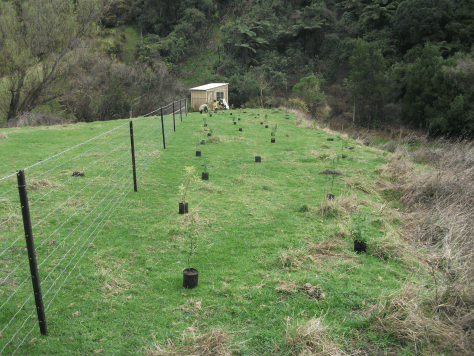 Screen Shot 2017-10-08 at 6.30.59 am