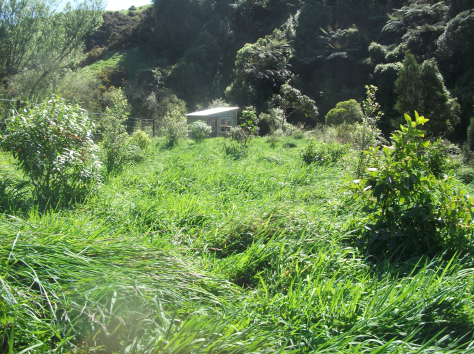 Screen Shot 2017-10-08 at 6.31.32 am