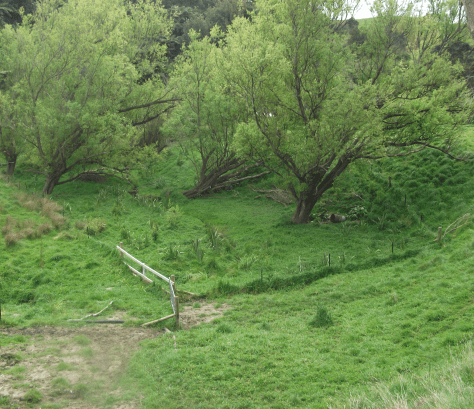 Screen Shot 2017-10-08 at 6.32.49 am